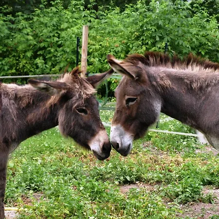 Les Rives De L'andelle 3*